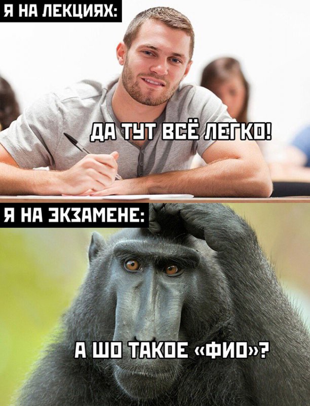 Я на лекциях и экзаменах
