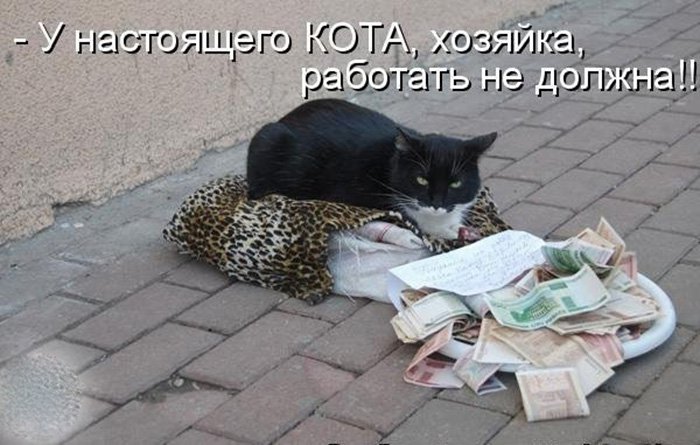 У настоящего кота, хазяйка работать не должна