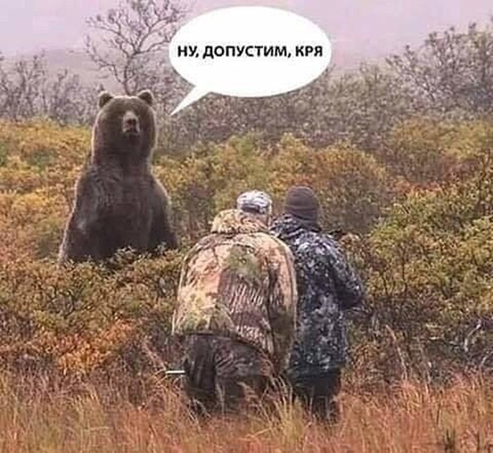 Медведя встретили охотники, допустим кря
