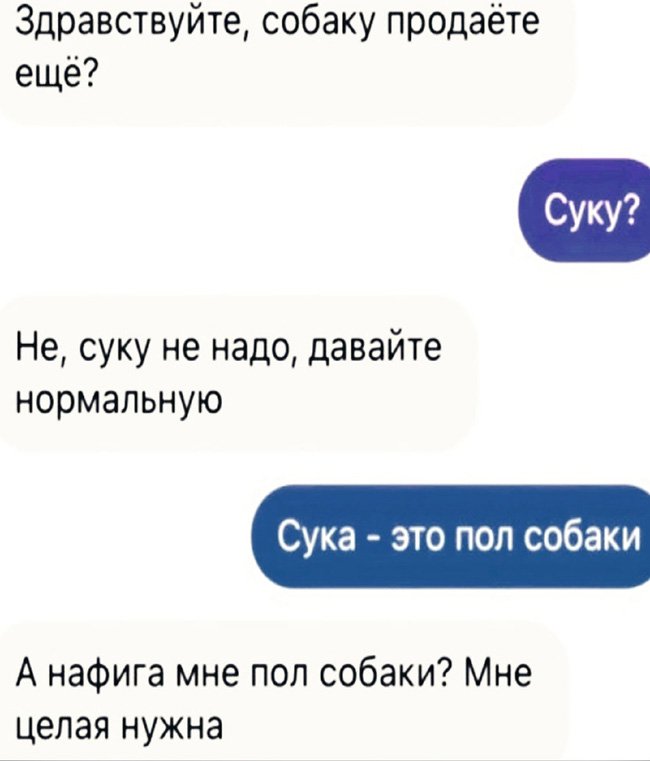 Продаёт суку - пол собаки