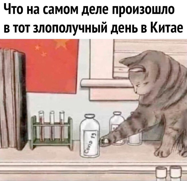 Кот опрокинул пробирку с Сovid 19