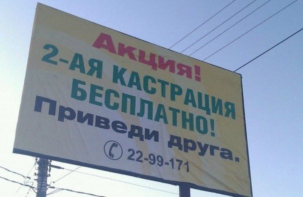 Акция на бесплатную кастрацию, только приведи друга