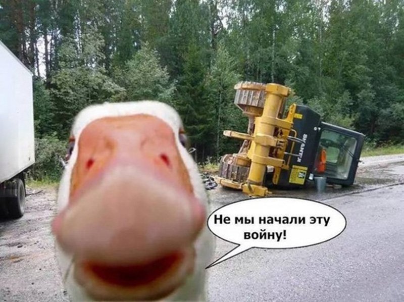 Гусь перевернула трактор