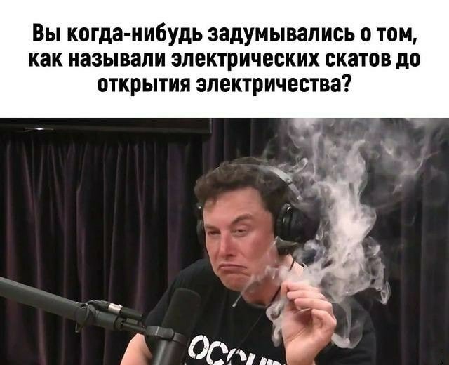 Как называли электрических скатов до открытия электричества