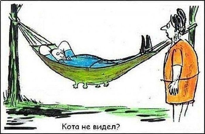 Лёг на гамак отдохнуть, а там был кот
