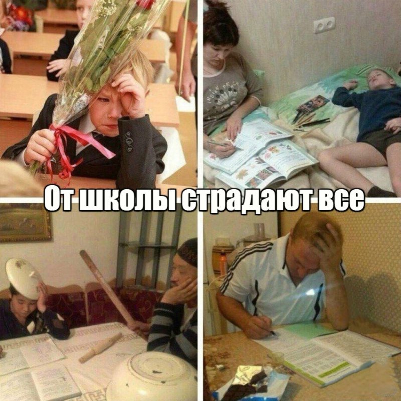 От школы страдают все, и дети и взрослые