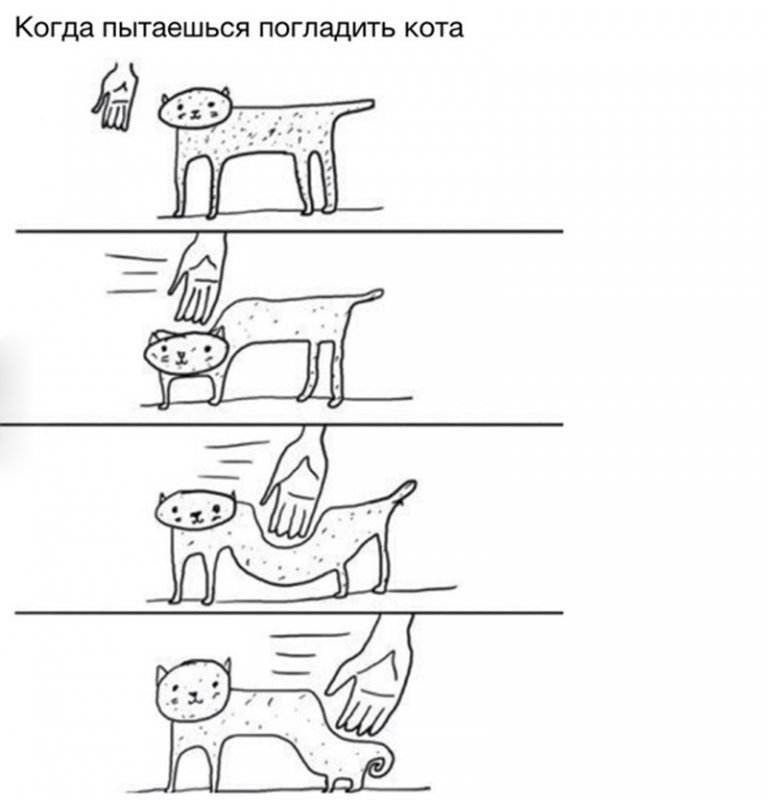 Кот выкручивается когда пытаешься его погладить