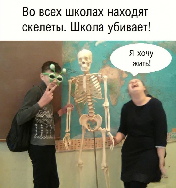 В школах находят скелеты, скелеты убивают