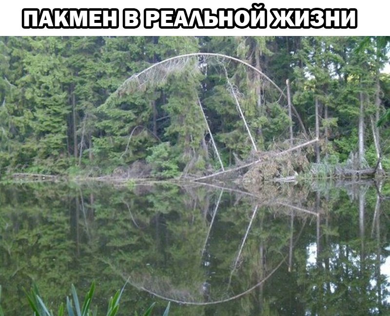 Пакмен в реальной жизни