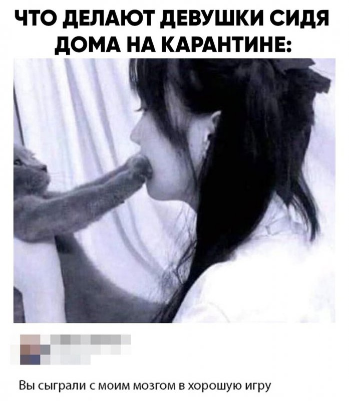 Девушка играет с котом, показалось что член
