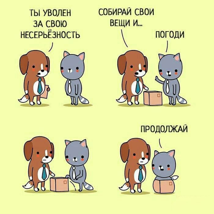 Кот уволен за свою несеръёзность