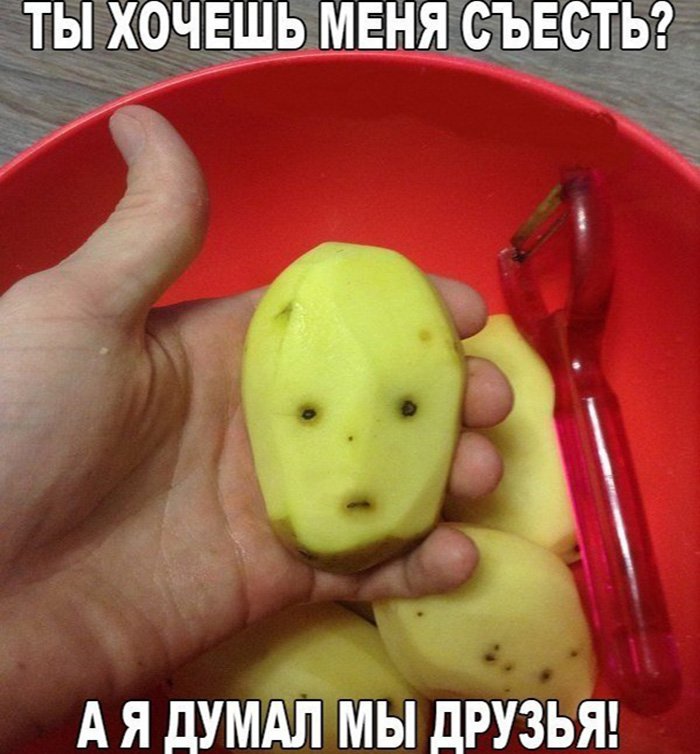 Картошка похожа на человечесоке лицо