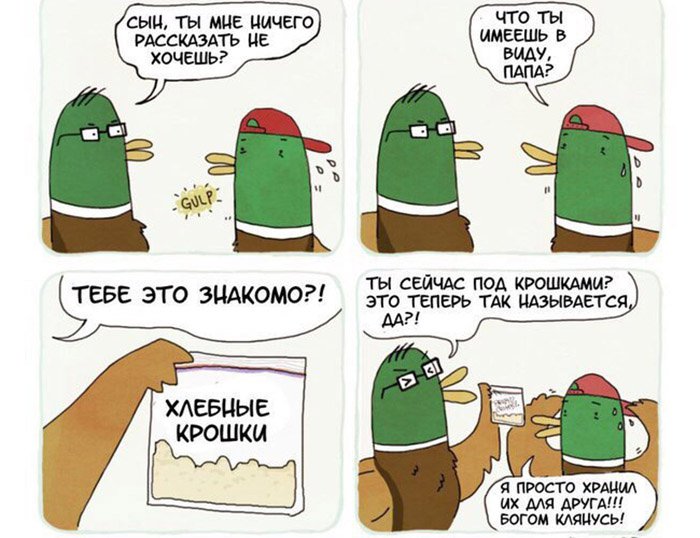Хранил хлебные крошки для друга