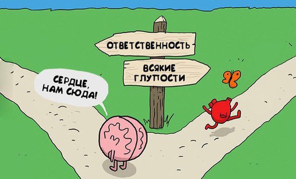 Мозг и сердце разошлись по разным дорогам