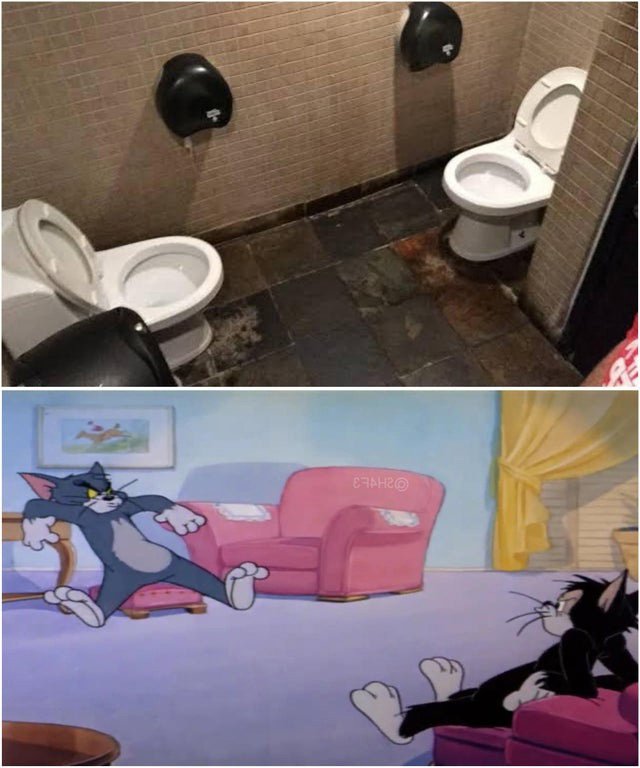 Два унитаза напротив друг друга