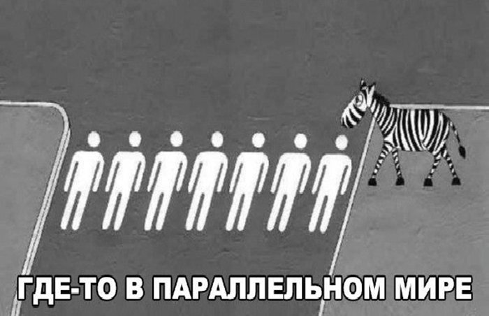 Зебра переходит дорогу в параллельном мире