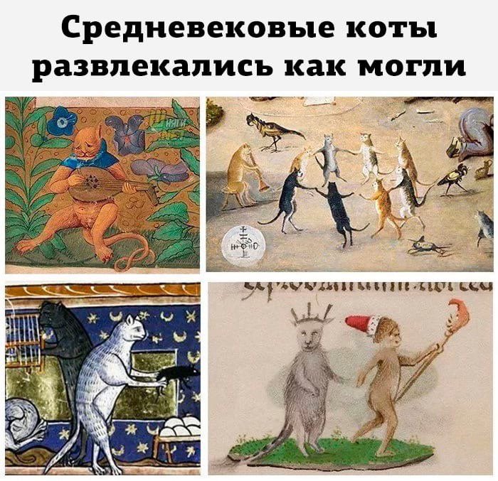 Средневековые коты развлекаются в картинах