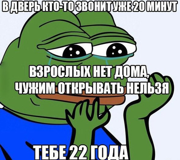 Кто-то звонит в дверь, а взрослых нет дома