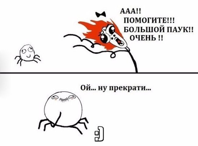 Испугалась большого паука, аж засмущала паука