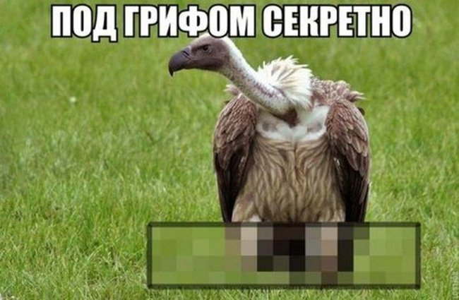 Под грифом секретно