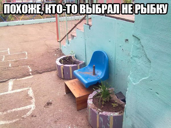 Член на синем стуле