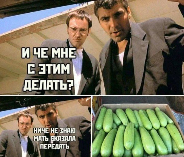 И что мне с кабачками делать, мать просила передать