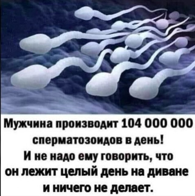 Мужчина производит 100 миллионов сперматозоидов в день