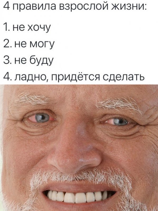 Правило жизни: Ладно, придётся сделать