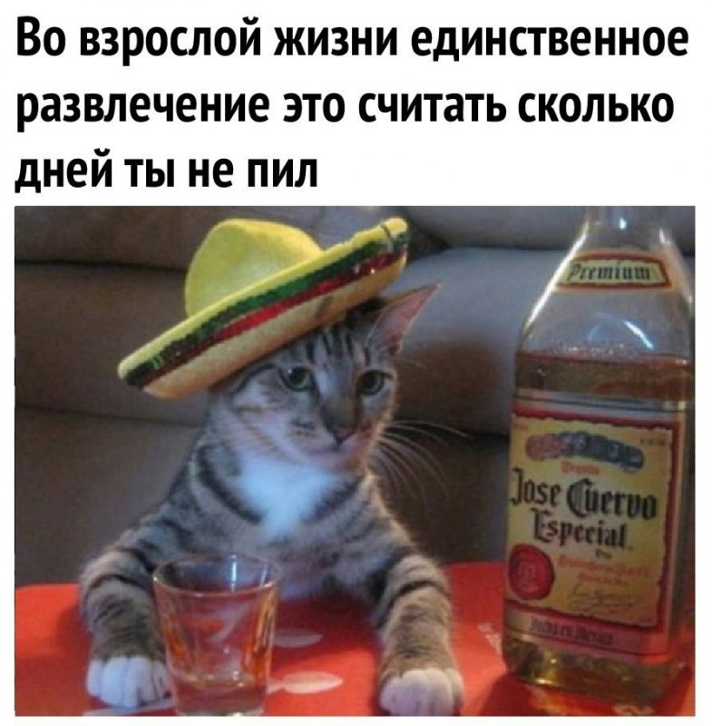 Развлечение взрослой жизни, считать сколько не пил