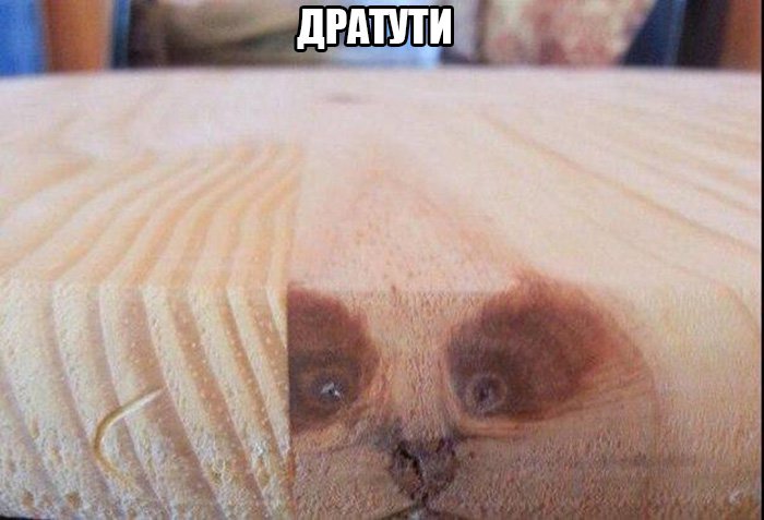 Лицо кота в деревянном бруске, дратути