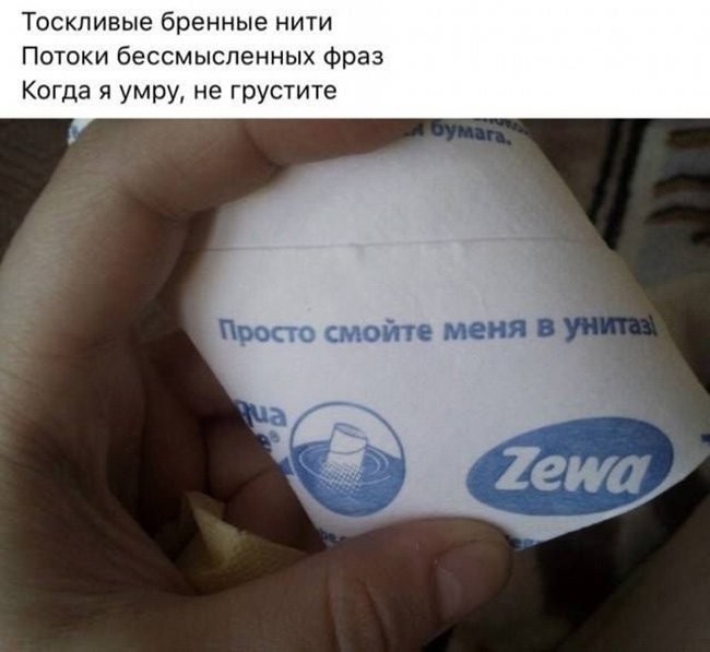 Когда я умру не грустите, смойте меня в унитаз