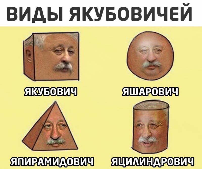 Виды якубовичей, яшарович, яцилиндрович