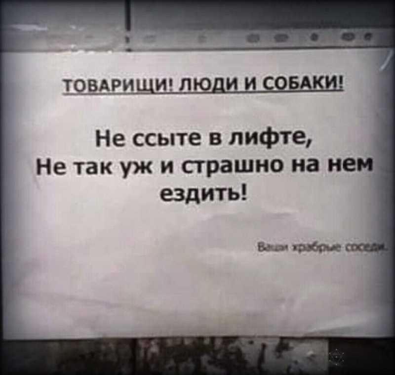 Не ссыте в лифте, не страшно на нём ездить
