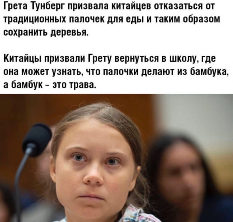 Грета Тунберг призвала китайцев отказаться от палочек