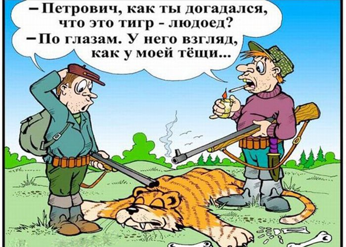 Как догадался что тигр людоед, взгляд как у тёщи