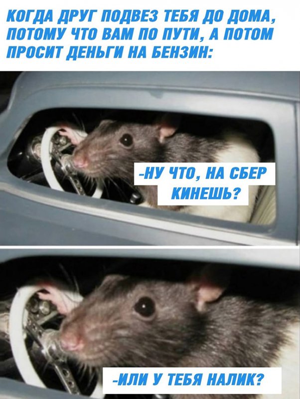 Когда подвёз друга, на сер кинешь или у тебя налик