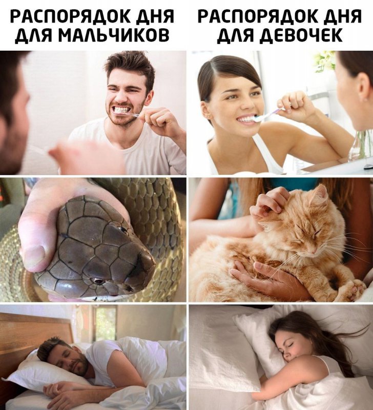 Мальчики душат змея а девочки ласкают котика