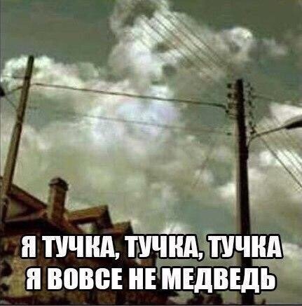 Облака похожи на медведя