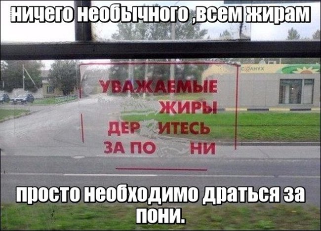 Уважаемые жиры, деритесь на пони