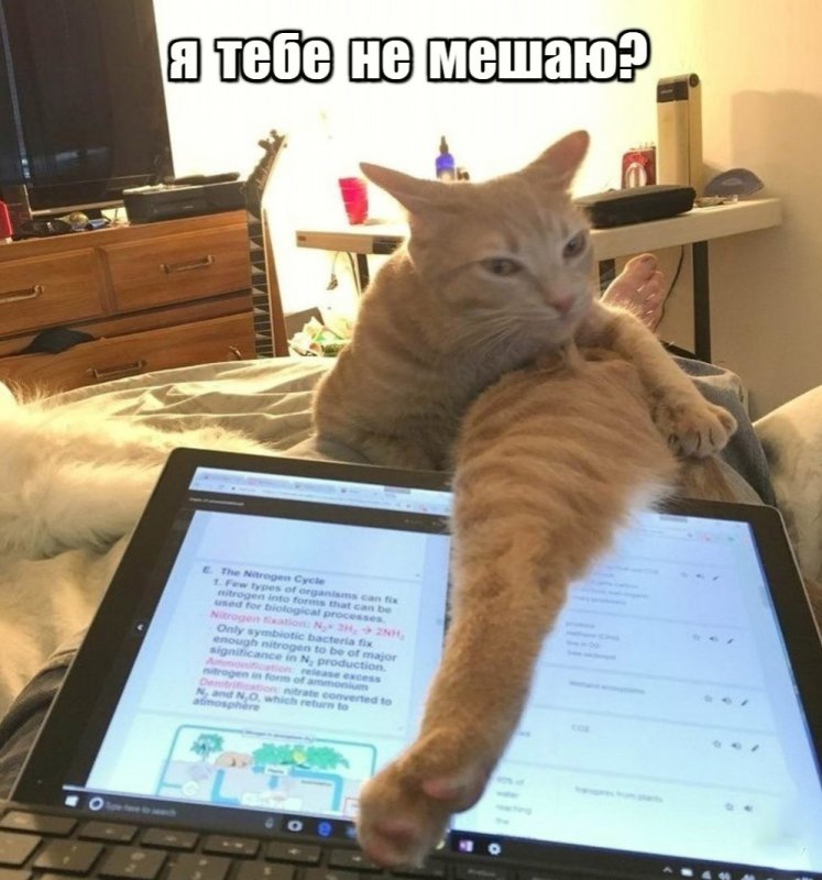 Хватит работать картинки