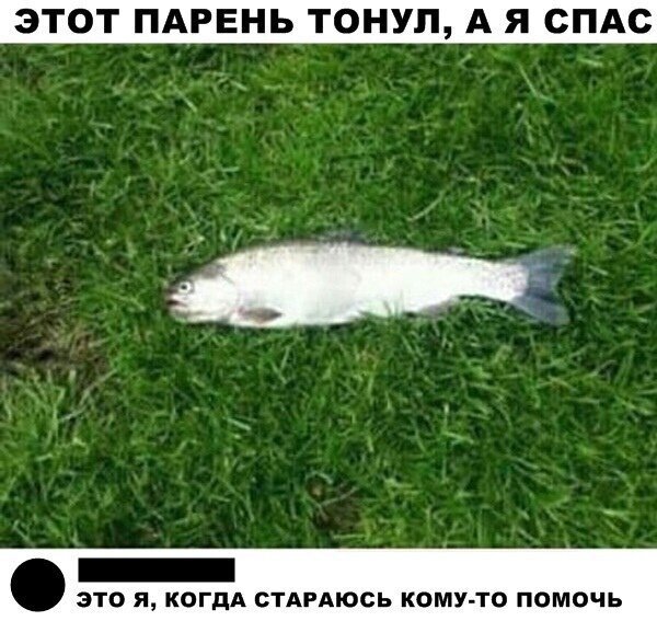 Рыба тонула, а я её спас