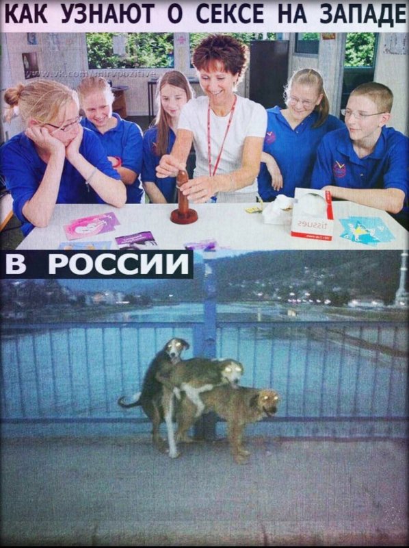 Как узнают о сексе на западе и в Соссии