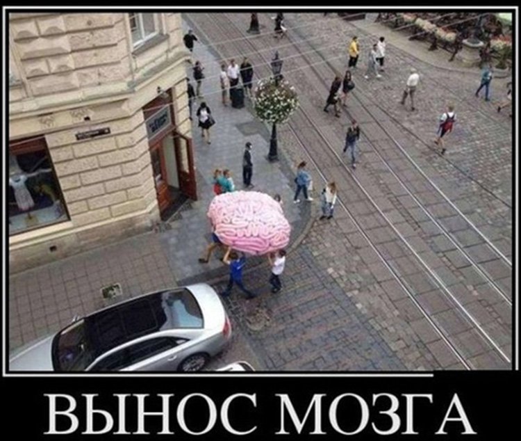 Выносят огромный мозг