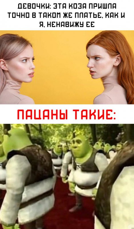 Эта коза пришла в таком же платье что и я