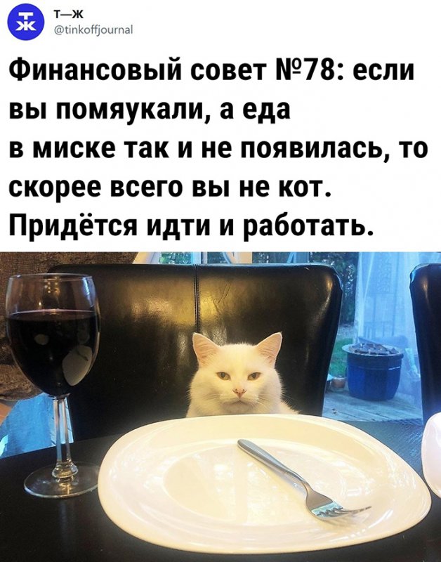 Вы помяукали а еда сама не появилась, нужно работать