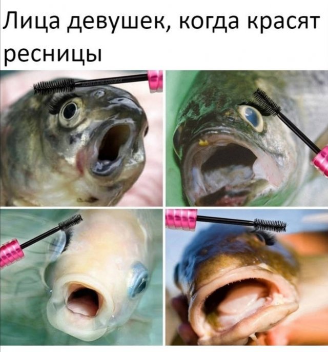 Лица девушек когда красят ресницы похожи на рыб