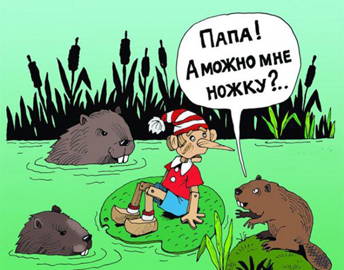 Бобер картинки прикольные
