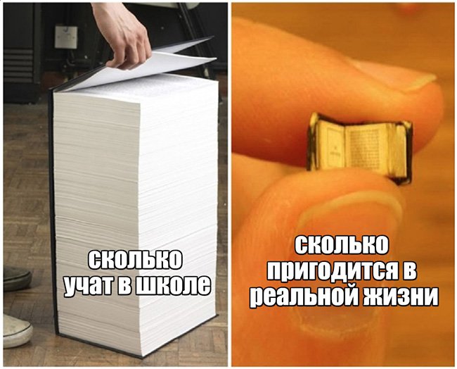 Сколько учат в школе, и сколько пригодится