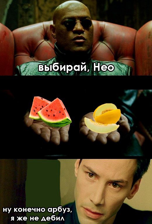 Выбирай Нео, арбуз или дыня, арбуз, я же не дебил