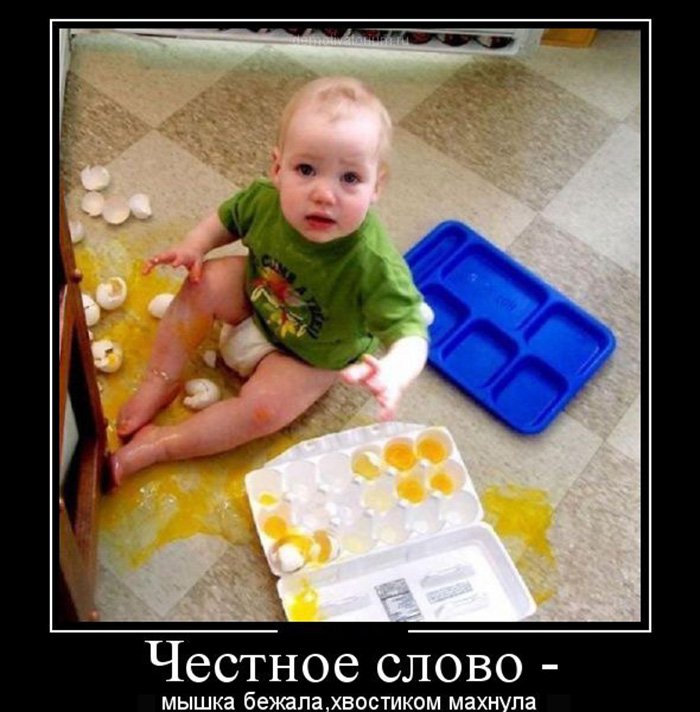 Ребёнок разбил целый лоток яиц